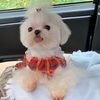 Pamela Bratcher - @doggroomerpam - Poshmark